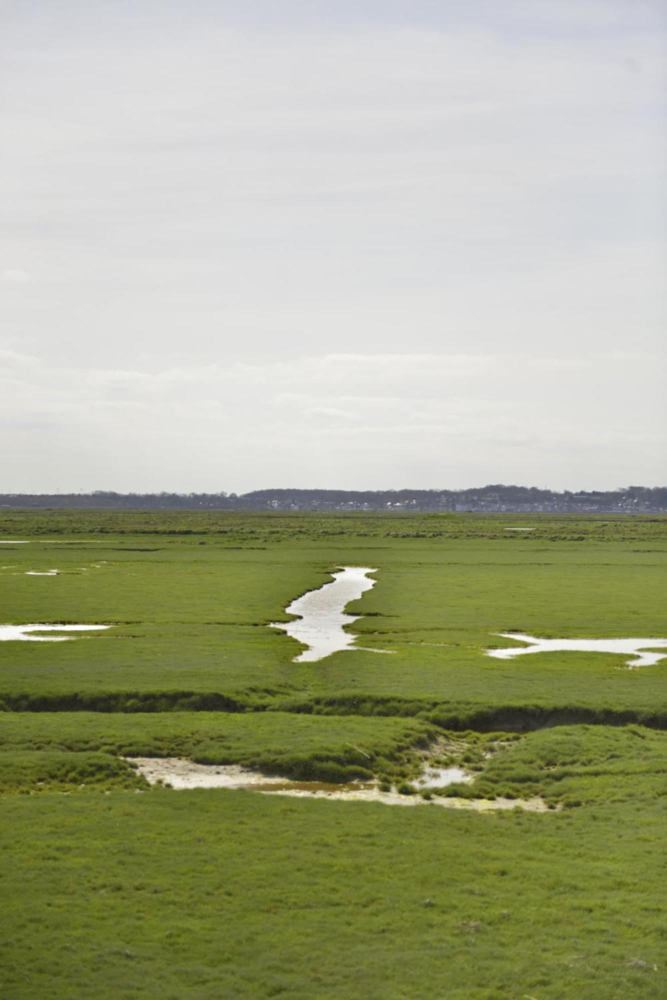Le Cottage De La Baie - Vue Mer En Baie De Somme Woignarue Eksteriør bilde