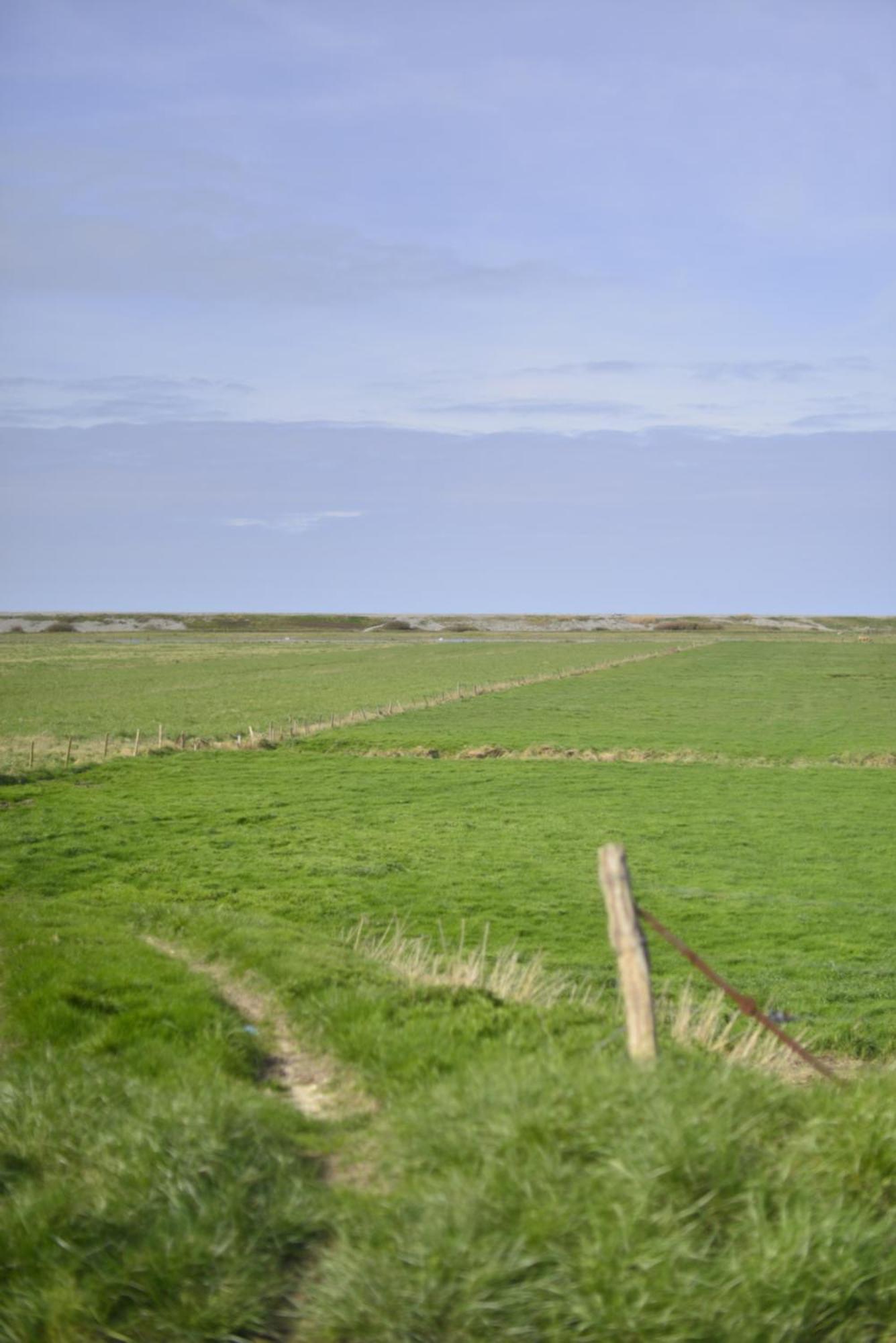 Le Cottage De La Baie - Vue Mer En Baie De Somme Woignarue Eksteriør bilde